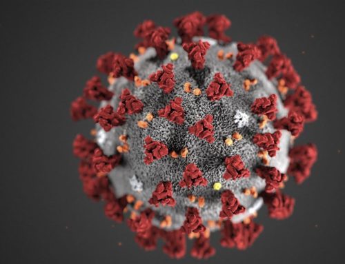 Viruses:  What are they and how do we protect ourselves from them?